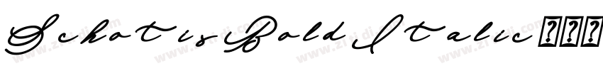 Schotis Bold Italic字体转换